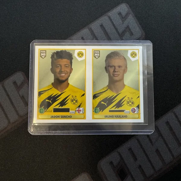 Jadon Sancho & Erling Haaland - Fifa 365 Sticker Collection