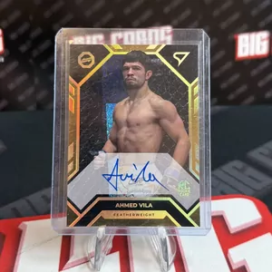 Ahmed Vila - Sportzoo