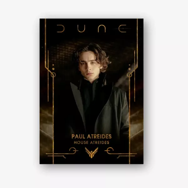 2024 Dune Chrome - Value Box - Image 2