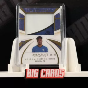 Callum Hudson-Odoi - Panini Immaculate