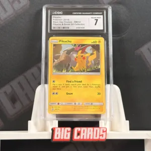 Pikachu - 2019 Black Star Promos