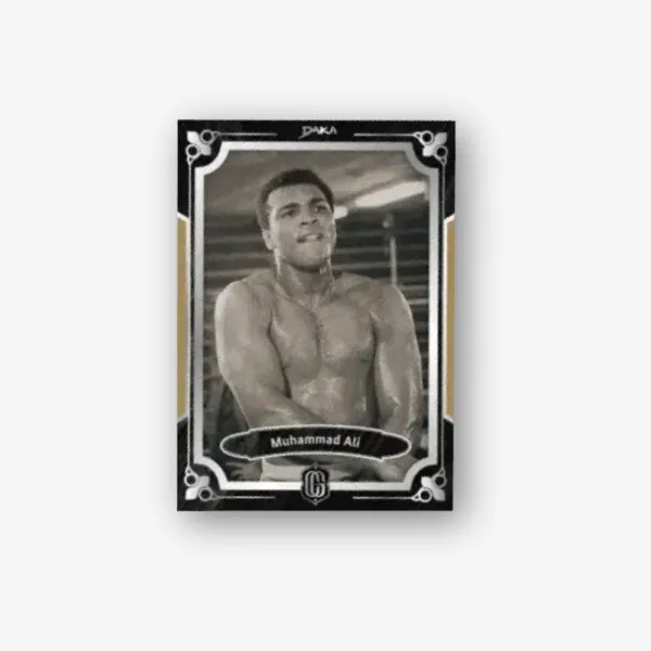 DAKA Century Glory Hobby Box - Image 4